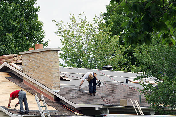 Best Emergency Roof Repair  in Hurlock, MD
