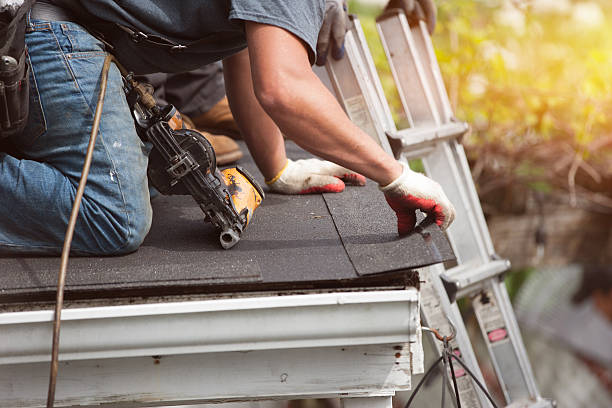 Best Local Roofing Companies  in Hurlock, MD