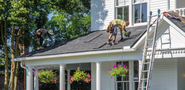 Best Roof Repair Services  in Hurlock, MD